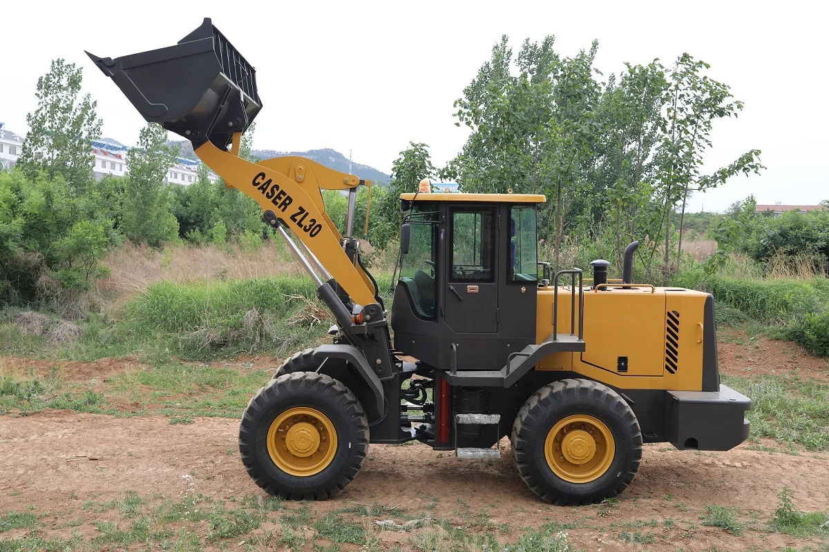 LOADER ZL30 - Image 6